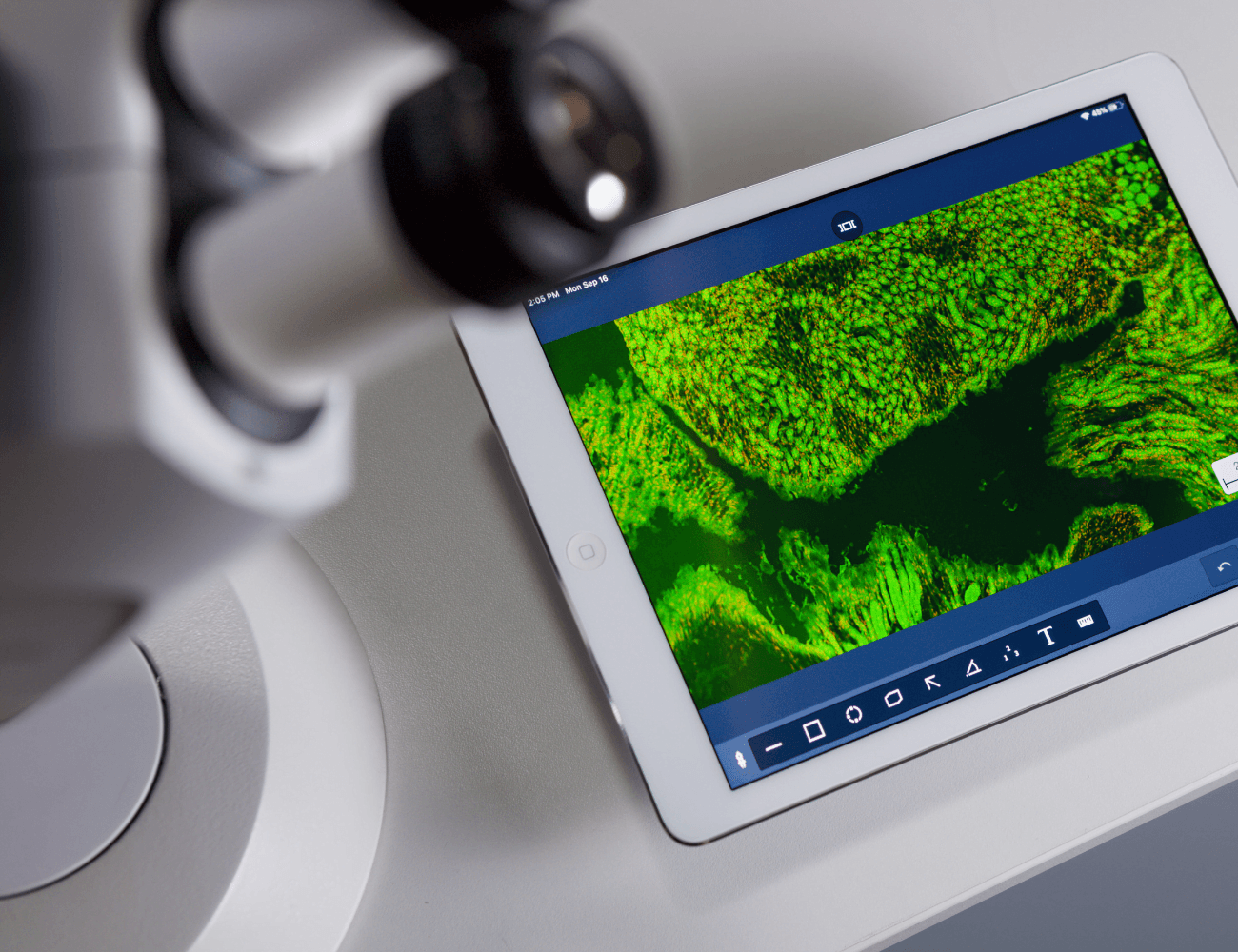 carl-zeiss-sprendimai-mokslui-inospectra Carl Zeiss mikroskopijos sprendimai mokyklai