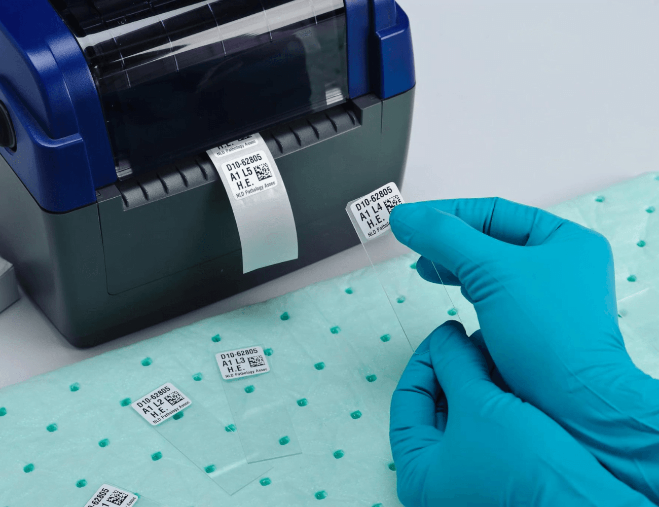 BRADY laboratorinės etiketės Laboratorines etiketes pavyzdys