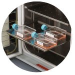 Kokybiški etikečių spausdintuvai ir etiketės laboratorijai 18 mėginių žymėjimas etiketemis