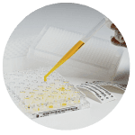 Kokybiški etikečių spausdintuvai ir etiketės laboratorijai 24 sulineliu ploksteliu etiketes ir lipdukai