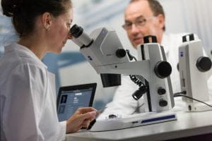 Stemi 305 key visual color